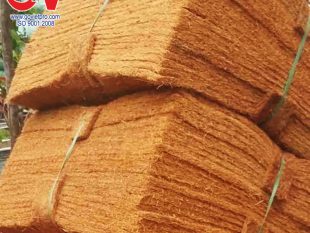 thảm xơ dừa trồng cây