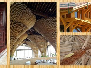 Sơn chống cháy thường được dùng để giúp chống cháy lan cho gỗ, ván ép, tấm OSB, rơm rạ...