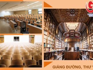 Sơn chống cháy dùng cho Giảng đường, thư viện