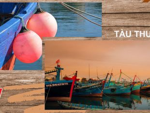 Sơn chống cháy cho tàu thuyền.