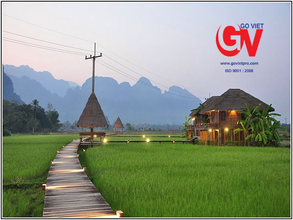 Farmstay được xây dựng hòa với không gian yên bình của đồng lúa