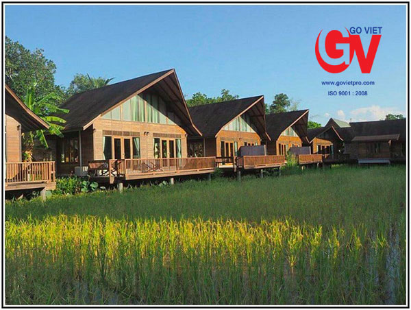 Phát triển du lịch Farmstay góp phần tăng cường sự ổn định và phát triển của loại hình du lịch xanh