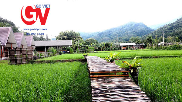 Thiết kế Farmstay trọn gói theo phong cách dân dã, giản dị