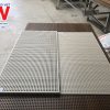 gỗ tiêu âm ốp tường