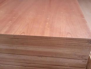 Gỗ Tiêu ÂM phủ Veneer GV-GTA014 3 go tieu am phu veneer gv gta014 1