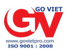 Govietpro.com