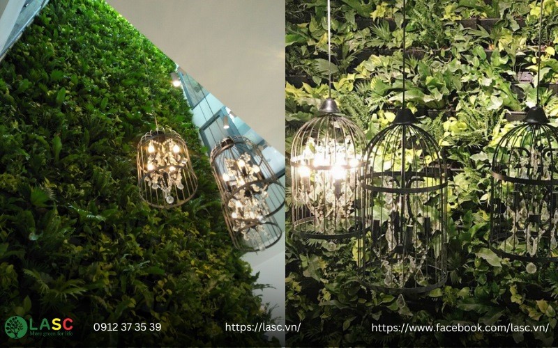 Đơn vị thi công vườn trên tường đẹp và ấn tượng 2024 2 2