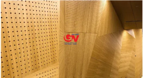 gỗ tiêu âm đục lỗ gỗ tiêu âm đục lỗ