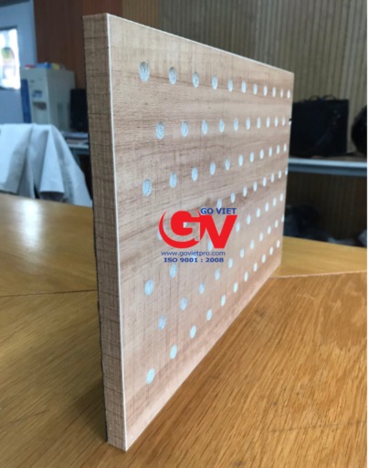 Plastic Perforated Acoustic Panel